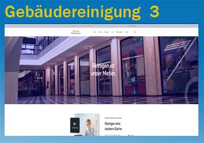 Homepage für Reinungsdienst. Website Demo