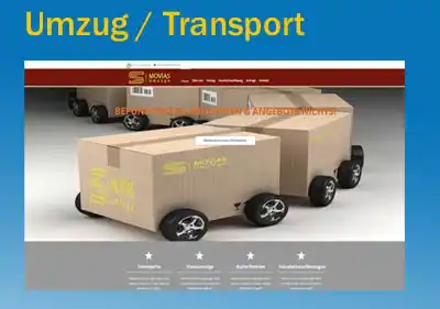 Website Umzug Tansport